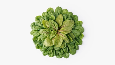 Микс салатный "Шпинат и мангольд", 75 г