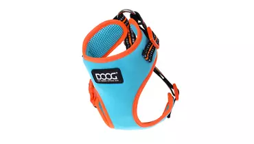 Изображение товара DOOG Шлейка для собак "NEOFLEX BEETHOVEN", голубой с оранжевым кантом, L (Австралия)