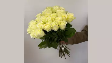 Изображение товара Букет белых роз Голландия 25 шт. под ленту