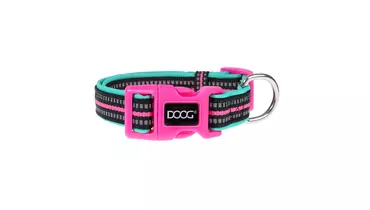 Изображение товара Ошейник для собак DOOG NEON RIN TIN TIN, черно-розовый, M (32-46см)