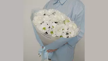 Снежная симфония (9шт)