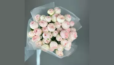 Моно Мэнсфилд парк (11шт) FMART by flowwow