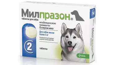 Изображение товара Милпразон антигельминтик для собак крупных пород 2*12,5 мг/125 мг от Динозаврик