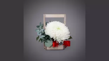 Изображение товара Композиция Белое солнце