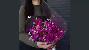 Изображение товара Букет из 5 фиолетовых маттиол