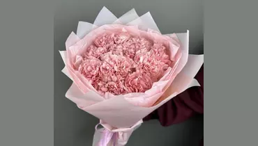 Букет 11 розовых гвоздик FMART by flowwow