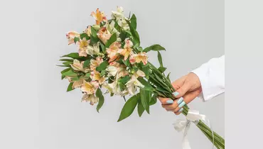 Букет из&nbsp;9 нежных альстромерий микс