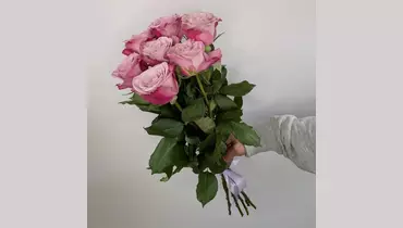 Букет роз Infused Pink 7 шт. под&nbsp;ленту