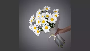Монобукет Ромашки 19 шт