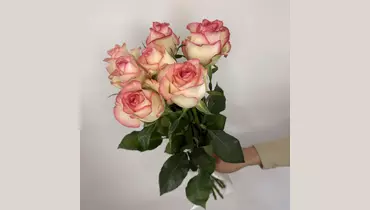 Букет роз Jumilia 7 шт. под&nbsp;ленту