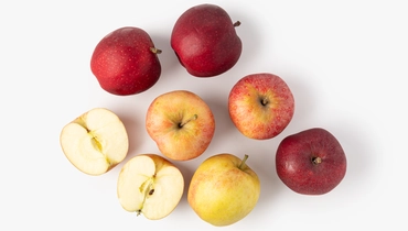 Яблоко Гала