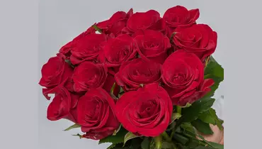Букет из&nbsp;15 красных роз 60см (Россия) под&nbsp;ленту