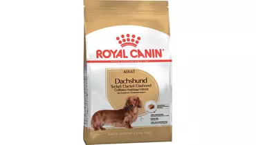 Изображение товара ROYAL CANIN Dachshund Adult сухой корм для собак породы такса 1,5кг