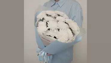 Арктическое сияние