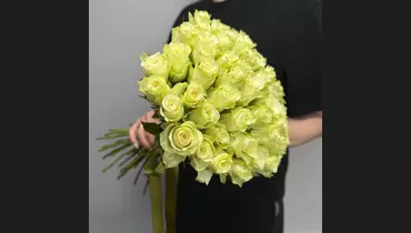 Монобукет из 51 белых роз Кения