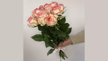 Букет роз Jumilia 11 шт. под&nbsp;ленту