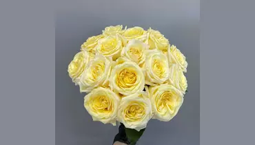 15 роз Канделайт под&nbsp;ленту FMART by flowwow