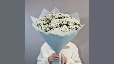 Букет из 19  кустовых хризантем сантини