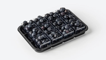 Изображение товара Фруктовый сет из голубики 12 шт по 50 г свежие ягоды для фуршета