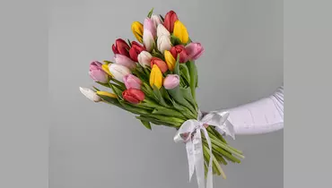 Букет из&nbsp;25 тюльпанов стандарт микс под&nbsp;ленту