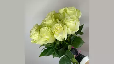 Букет белых роз Эквадор 9 шт. под&nbsp;ленту