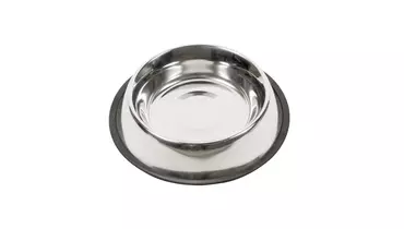 Изображение товара Миска для животных металлическая с резиновой подставкой 23см 710мл DUVO+