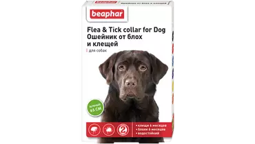 Изображение товара Beaphar ошейник для собак зеленый New 6 мес. до 10 кг против блох и клещей