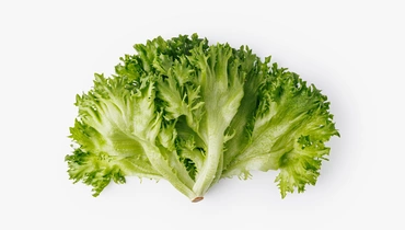 Салат Фриллис, 100 г