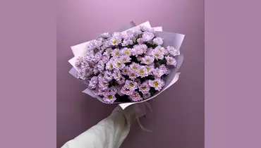 Сантини 11 FMART by flowwow