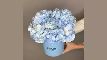 Изображение товара Коробочка из голубых гортензий FMART by flowwow