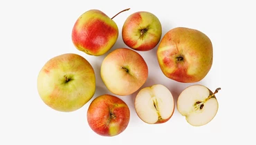 Яблоко деревенское