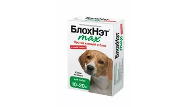 Изображение товара Капли на холку для собак БлохНэт max 10-20 кг против клещей и блох 2мл Астрафарм