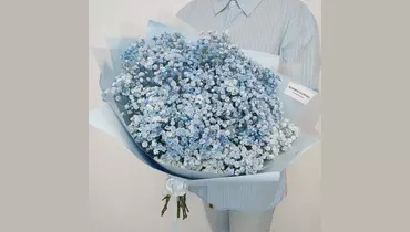 Букет из&nbsp;19 веток голубой гипсофилы