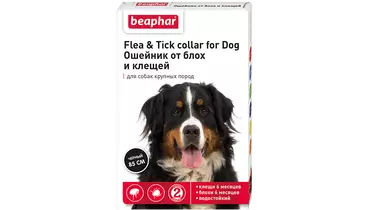 Изображение товара Beaphar Ошейник для собак крупных пород от блох и клещей 85см