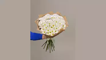 Изображение товара Букет белых ромашковых хризантем 11 шт FMART by flowwow