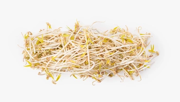 Изображение товара Ростки для Фо Бо 100 г - свежие фасолевые ростки маш для азиатских блюд