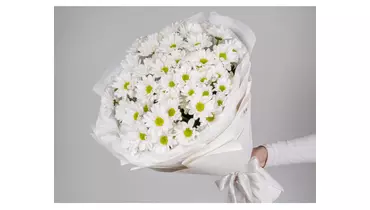 Изображение товара Букет из 9 хризантем в стильной упаковке