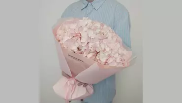 Изображение товара Клубничная пастила