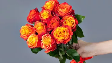 Изображение товара Монобукет из 11 Эквадорских роз сорта Atomic под ленту