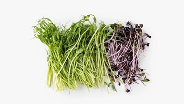 Изображение товара Микс из ростков брокколи редис горох 50 г ВкусВилл свежий овощной продукт