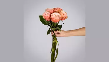 Изображение товара Монобукет из 5 пионовидных роз "Kahala" под ленту