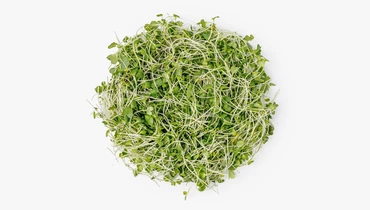 Микрозелень (ростки) капусты кейл, 30 г