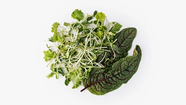 Микс из микрозелени подсолнечника и салата кейла , 50 г