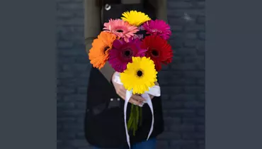 Изображение товара Букет из 7 ярких гербер микс для праздника и подарка