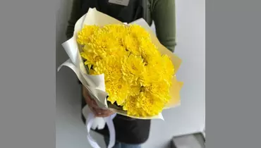 Изображение товара Солнышко