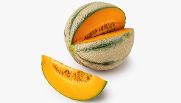 Дыня Шаранте