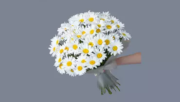 Изображение товара Монобукет из Ромашки 51 шт №2