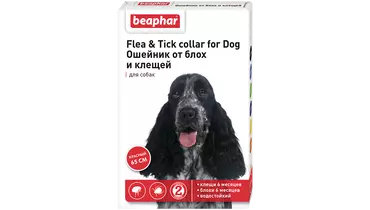 Изображение товара Beaphar ошейник для собак красный New Diaz от блох  и клещей (6 мес.) 65см