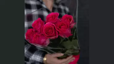 Букет из&nbsp;7 розовых роз Пинк Флойд (70 см)