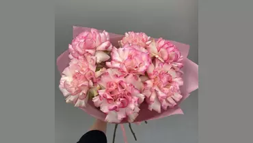 Изображение товара Букет из 7 розовых французских роз FMART by flowwow с нежной упаковкой